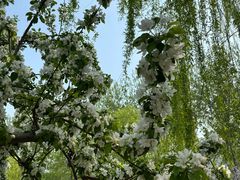 -元大都城垣遗址公园