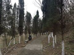 -六合国家地质公园桂子山景区