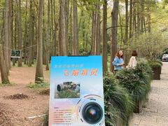 -杭州植物园