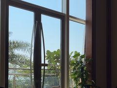 -彩丰楼中餐厅·早茶·点心·粤菜(海口华彩洲际酒店)