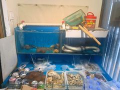 水产区-福匠日本料理(人民路店)