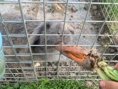 -美家乐农庄·露营·团建(大治路店)