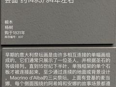 -施泰德艺术馆