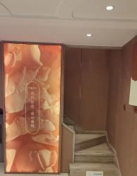 -金夫人美容