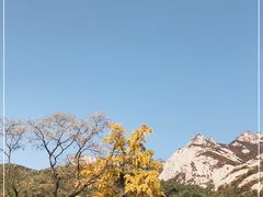 -无染寺