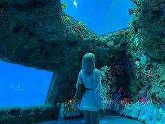 -南昌融创海世界