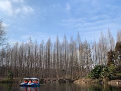 -东平国家森林公园