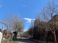 -朝阳公园游乐园