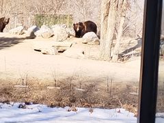 -北京野生动物园