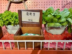 -羊大爷涮肉(亮马桥店)