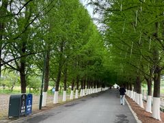 -嘉北郊野公园