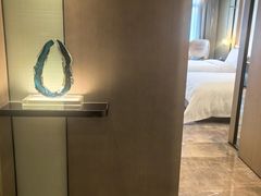 -深圳国际会展中心希尔顿酒店(前海华发冰雪世界店)