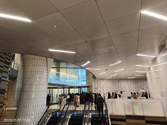 -上海中心大厦