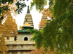 -北京石刻艺术博物馆(五塔寺)
