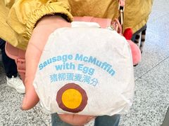 -麦当劳(上海虹桥站30B检票口楼上)