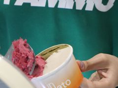 -Dip in Gelato(富民路店)