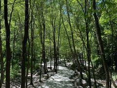 -玉渡山自然风景区