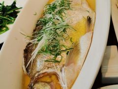 -金枝玉叶上海人家食府(三里河店)