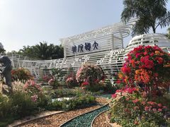 景点-莲花山公园