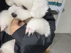 -心仪动物医院·牙专科·肿瘤·心脏科(西客站院)