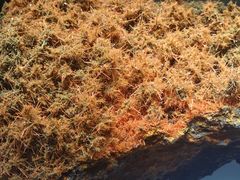 -湖南省地质博物馆