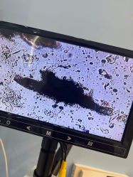 -Cream88颜皮肤管理中心