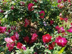 -人民公园(罗湖区)