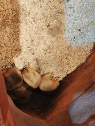 -奇幻萌宠部落(映月湖环宇城店)