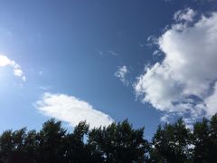 -人民防洪胜利纪念塔