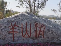 -羊山湖公园