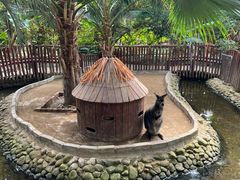 -呀路古热带植物园