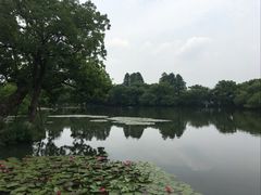 -西湖游船