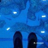 今晚睡在海世界的帐篷里，监督鲨鱼睡觉！