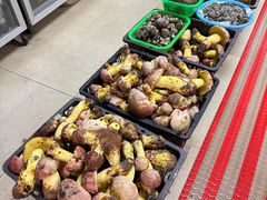 -双喜农庄·菌香园(安居家园店)