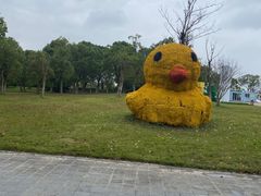-上海都市菜园