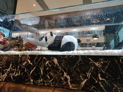 -红辣椒·川菜·火锅(大洋中心店)
