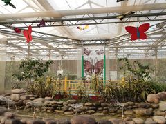 -南宫五洲植物乐园