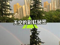 -兰岛广场(白沙路店)