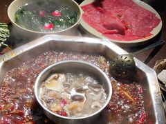 -巴倒烫陆派重庆火锅(南山店)