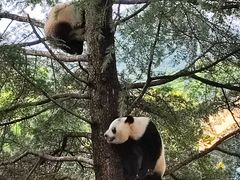 -西安秦岭野生动物园