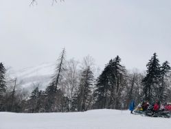 -大秃顶子山