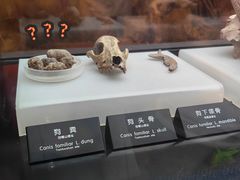 -河姆渡遗址博物馆