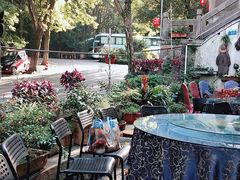 -国生茶庄·地道农家菜团建活动