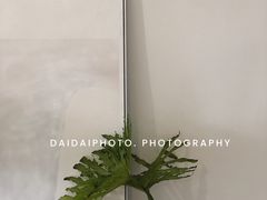 大堂-Hello·生日蛋糕·下午茶·甜品台茶歇(瑞安东山店)
