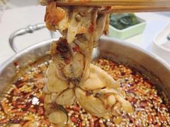 鲜活牛蛙-蛙两只美蛙鱼头火锅(恒茂店)