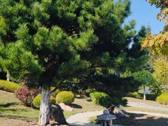 -大连植物园
