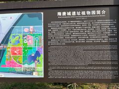 -洛阳市隋唐城遗址植物园