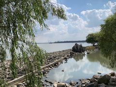 -上海吴淞炮台湾国家湿地公园