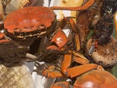 -一方渔歌蒸汽海鲜自助(文化路万达广场店)