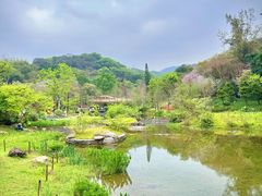 -云溪植物园